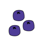 Chinchilla Chew Toys