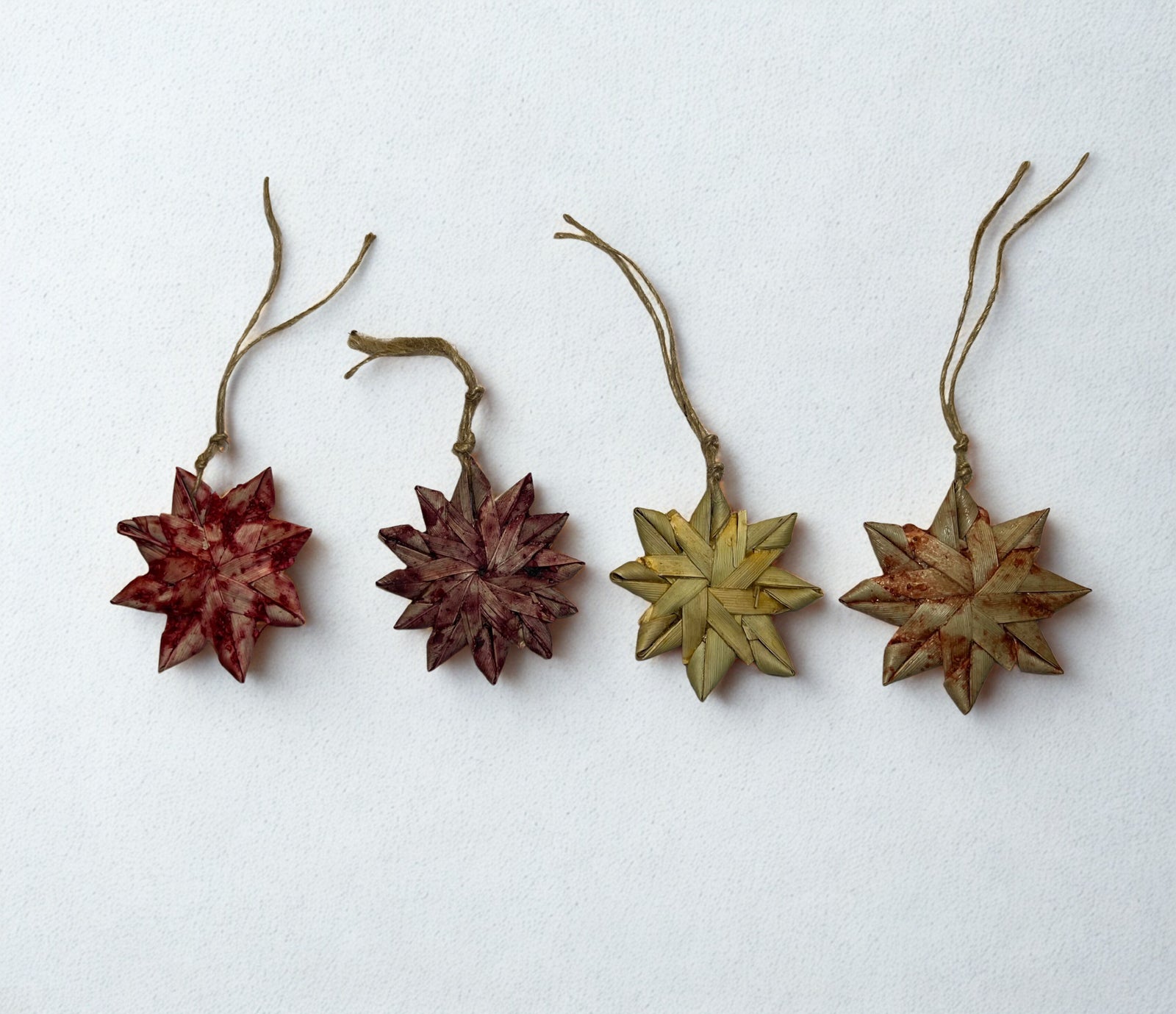 Palm leaf daisies flavored with mango, raspberry, blackberry and strawberry