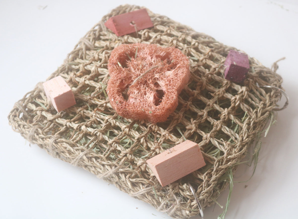 **New** Fruity Fun HAY Mat