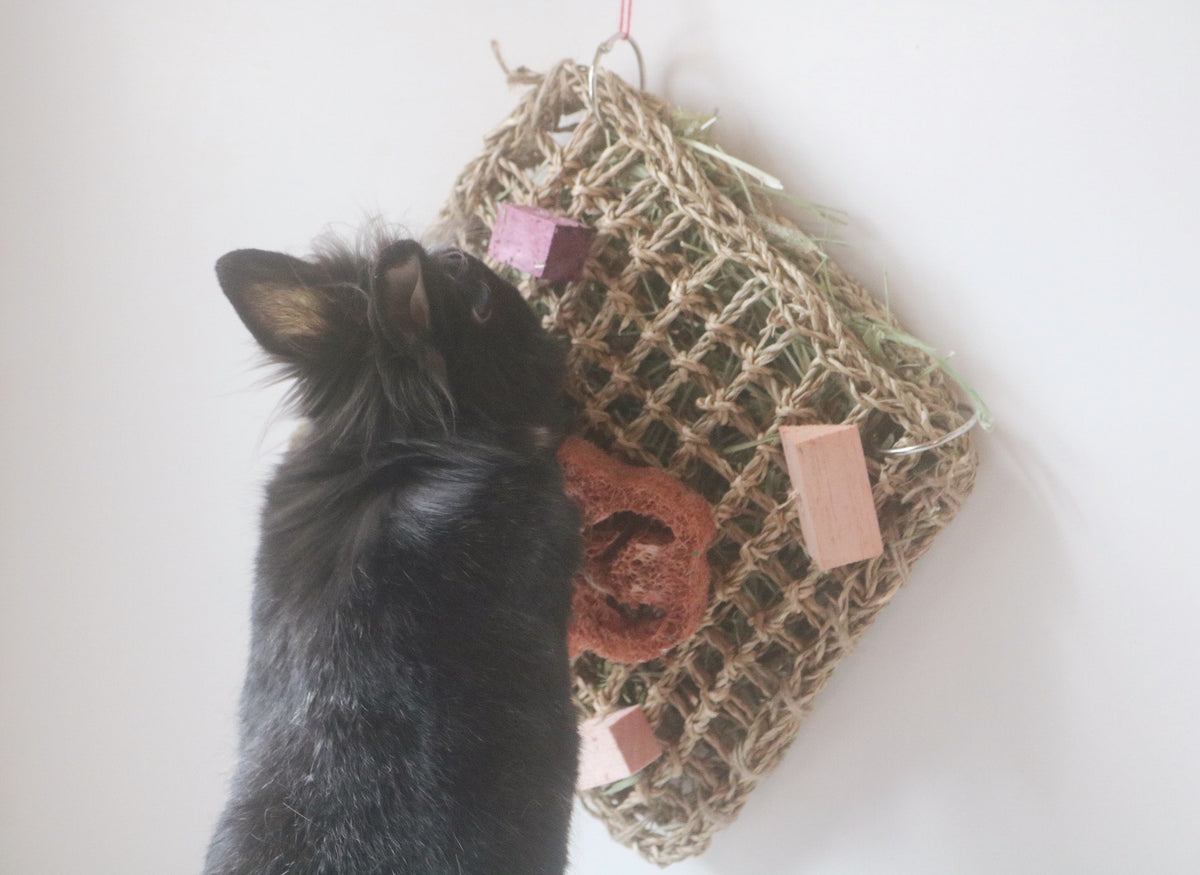 **New** Fruity Fun HAY Mat