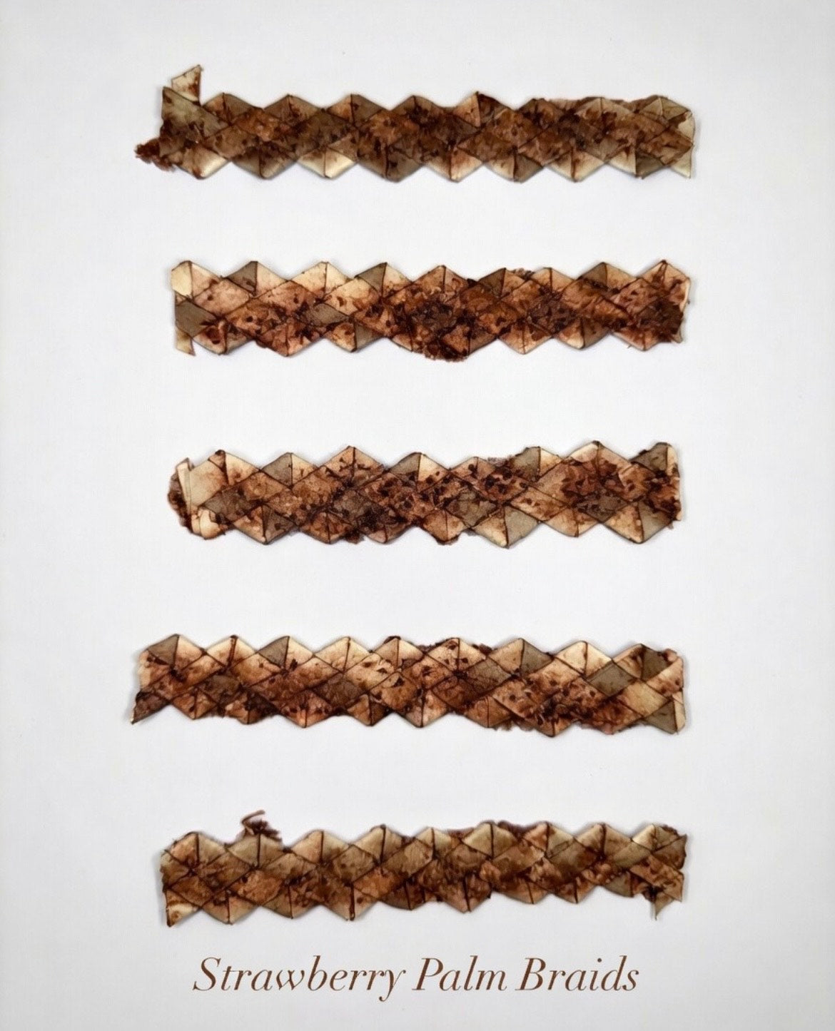 Flavored Palm Braids Chew Toy for Small Pets