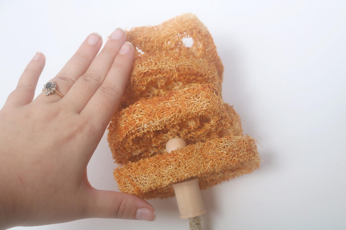 Pumpkin Loofah Kabob