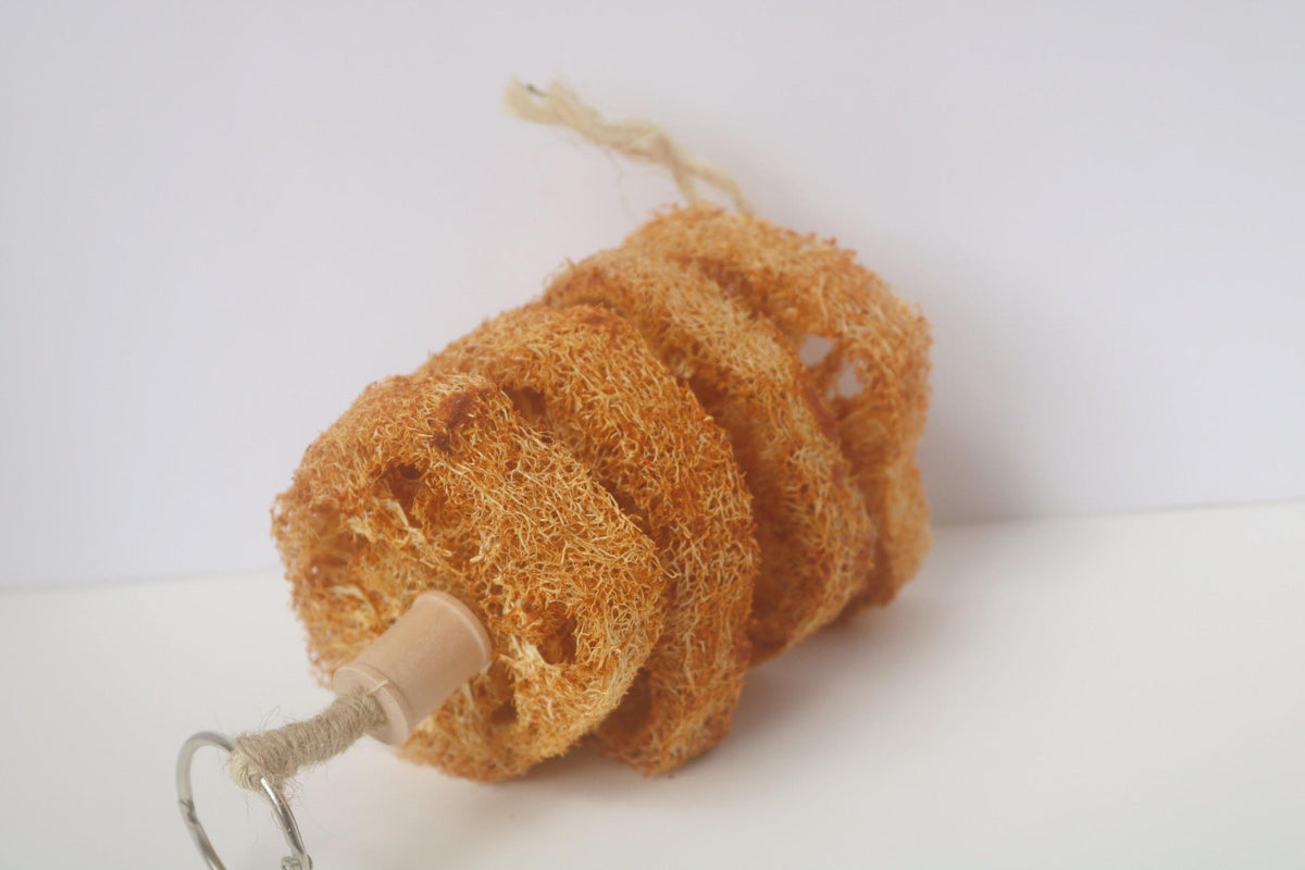 Pumpkin Loofah Kabob