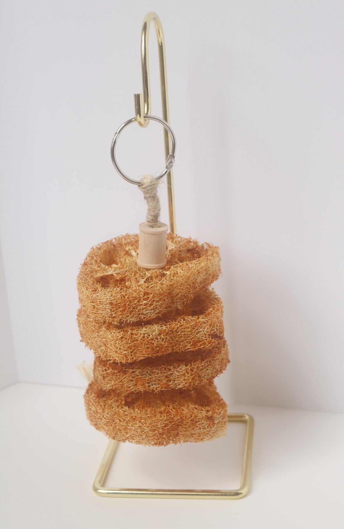 Pumpkin Loofah Kabob