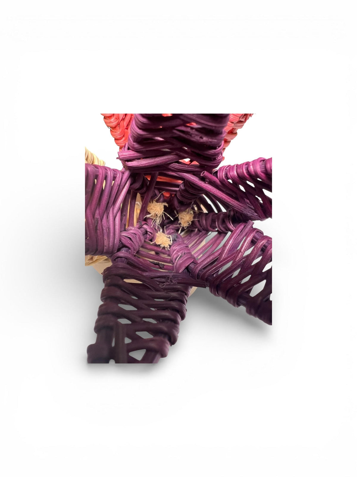 Tulip Trio flavored Vine chew toy for Small Pets
