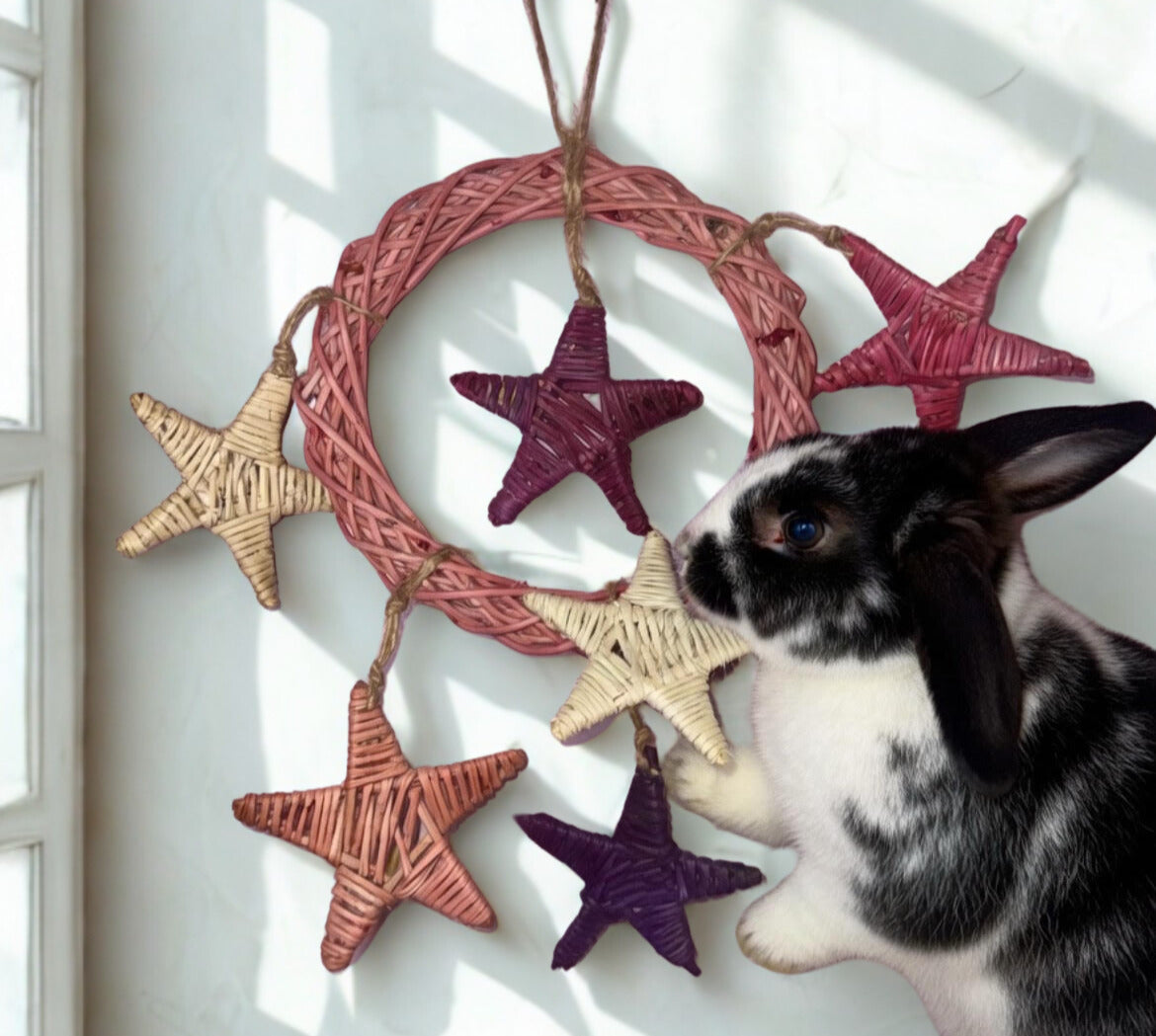 Fun4Bunnies flavored grapevine chew toy stars tied with jute rope onto loop.