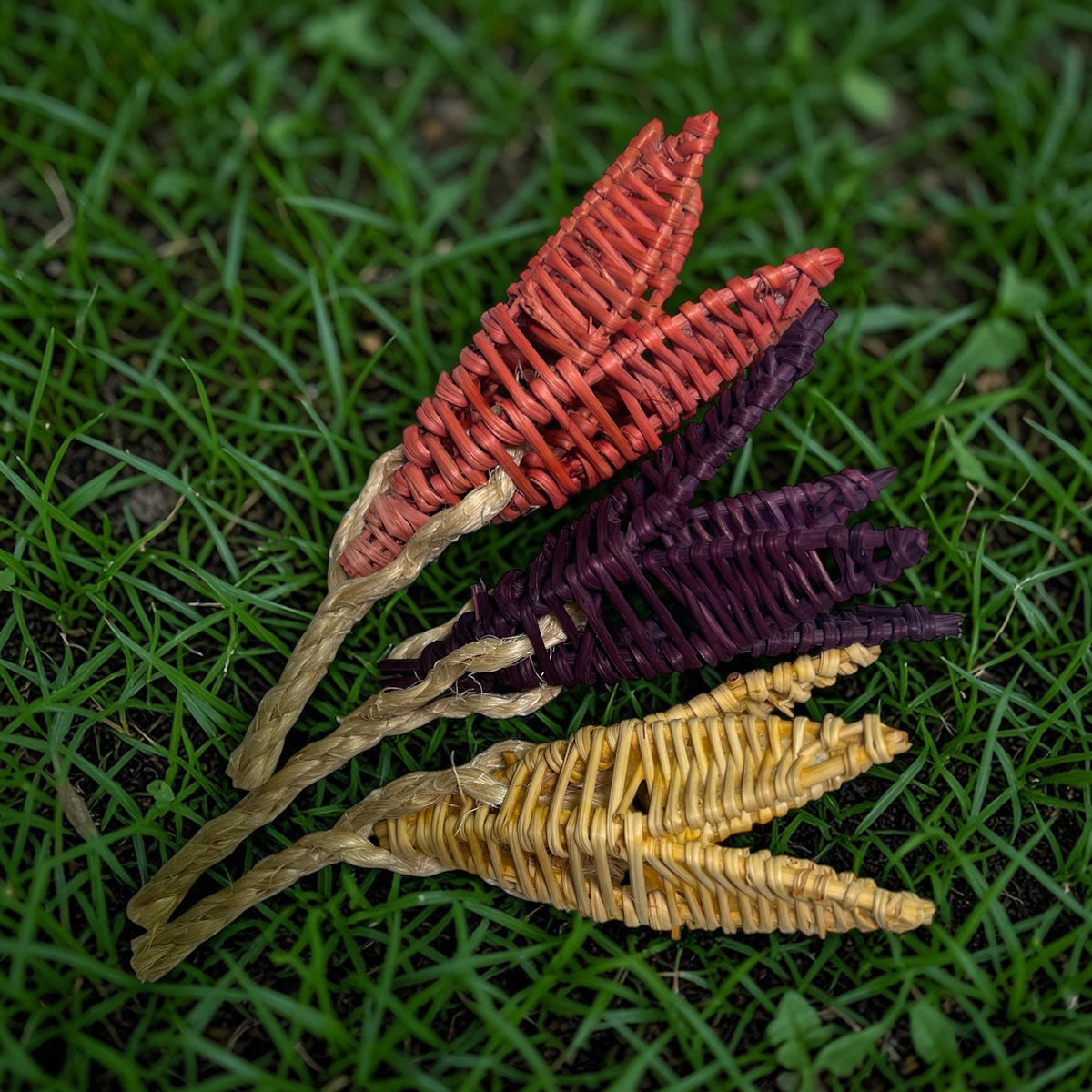 Tulip Trio Flavored Chew