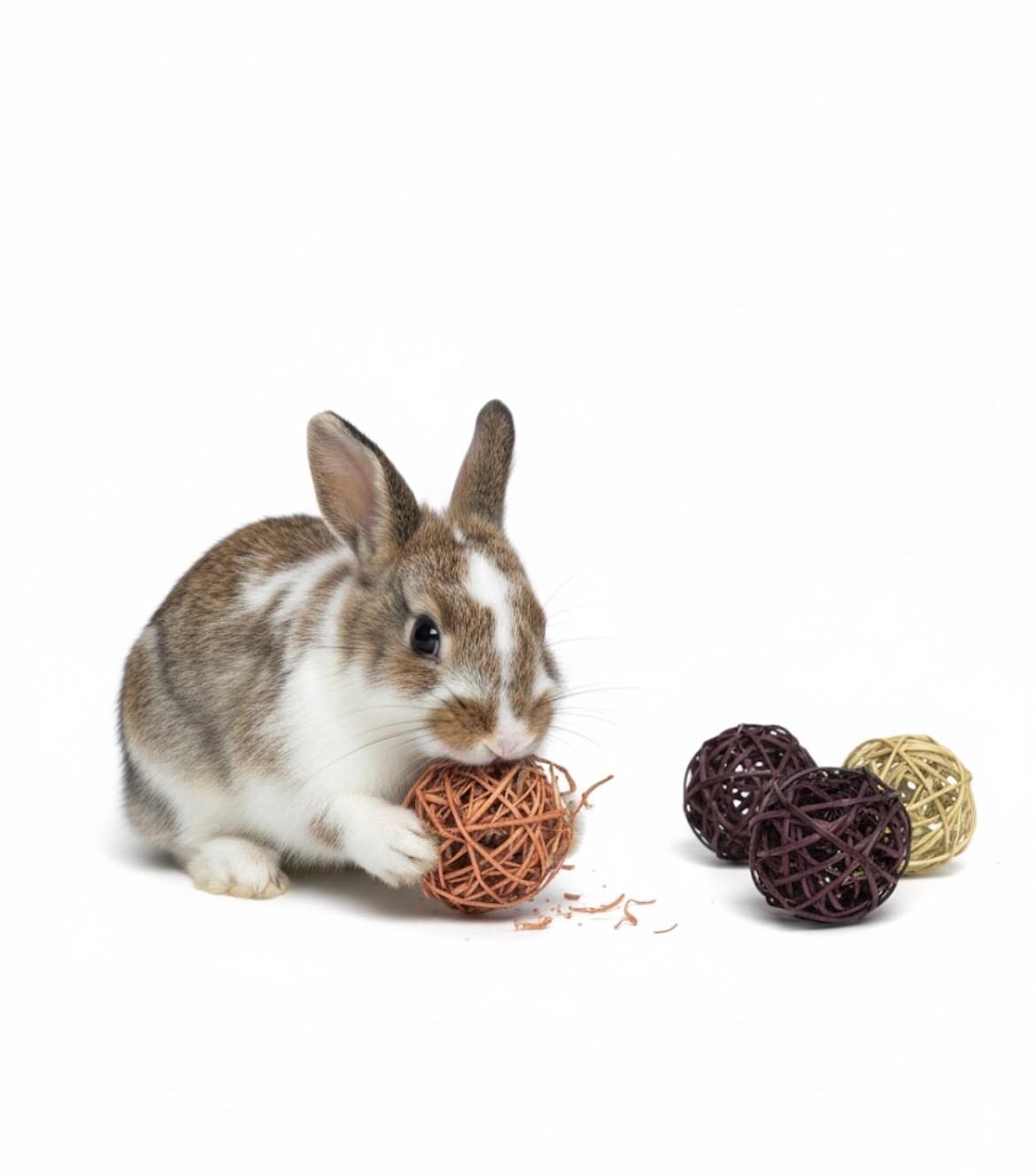 4 Pack Fruit Flavored Vine Balls