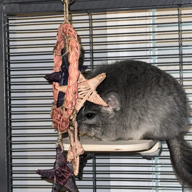 Fun4Bunnies showing chinchilla with Starry Night Dream Catcher toy