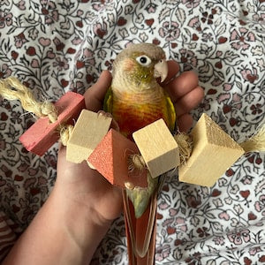 Fun4Bunnies flavored balsa chew toy for small pets flavored in raspberry, strawberry, banana and apple 