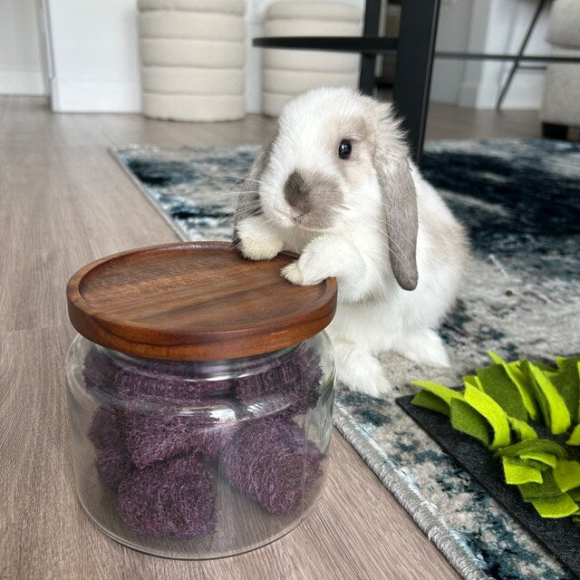 Fruit Flavored Loofah Chips 10 Pack Chew Toys