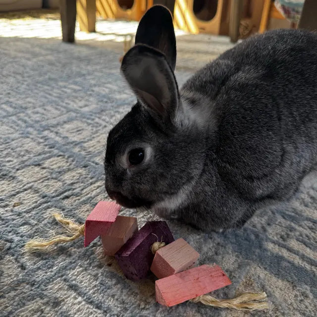 Mixed Berry Fling Fruit Flavored Chew Toy