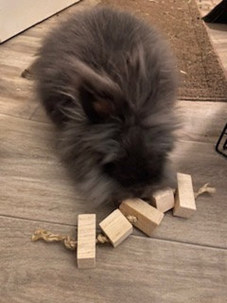 Island Fling Fruit Flavored Chew Toy