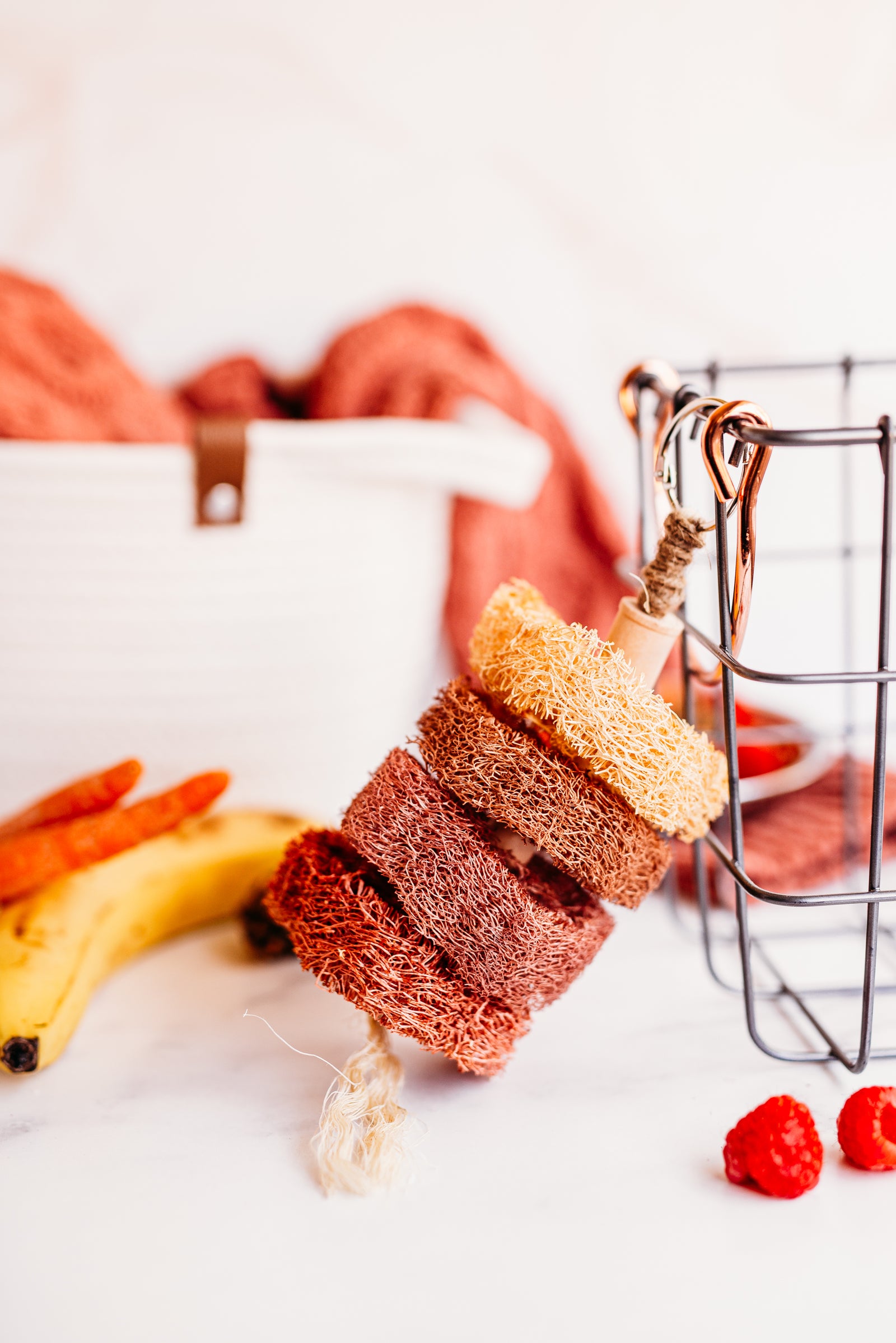 Fruit-Flavored Loofah Kabob Chew Toy