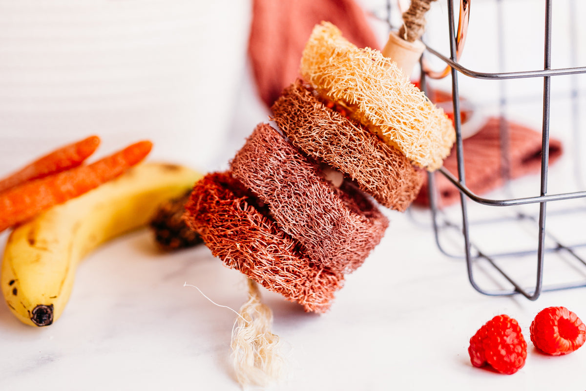 Fruit-Flavored Loofah Kabob Chew Toy