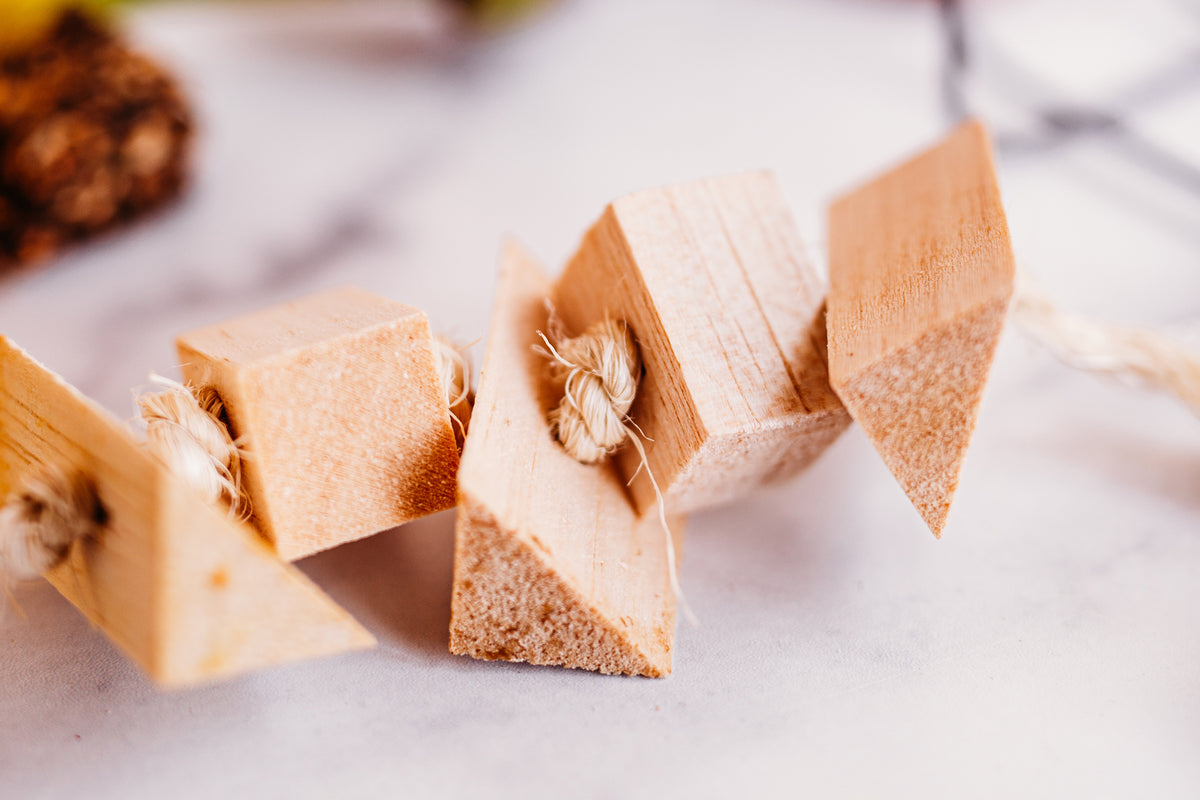 Tropical Fruit Fling Chew Toy