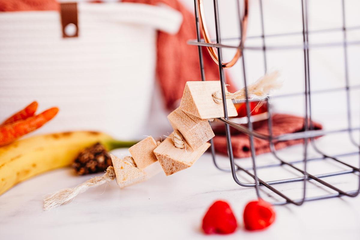 Tropical Fruit Fling Chew Toy