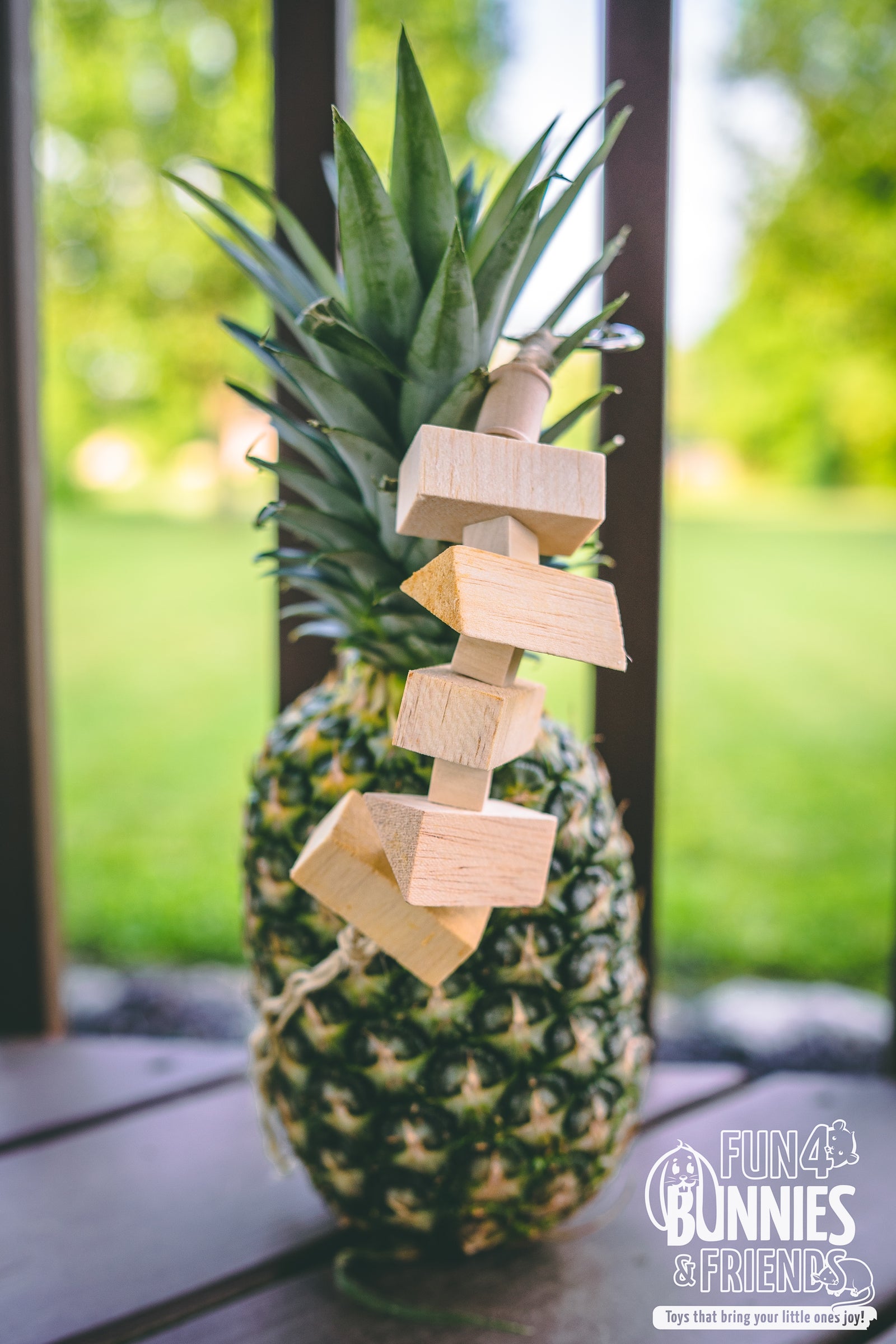 Island Kabob Fruit Flavored Chew Toy