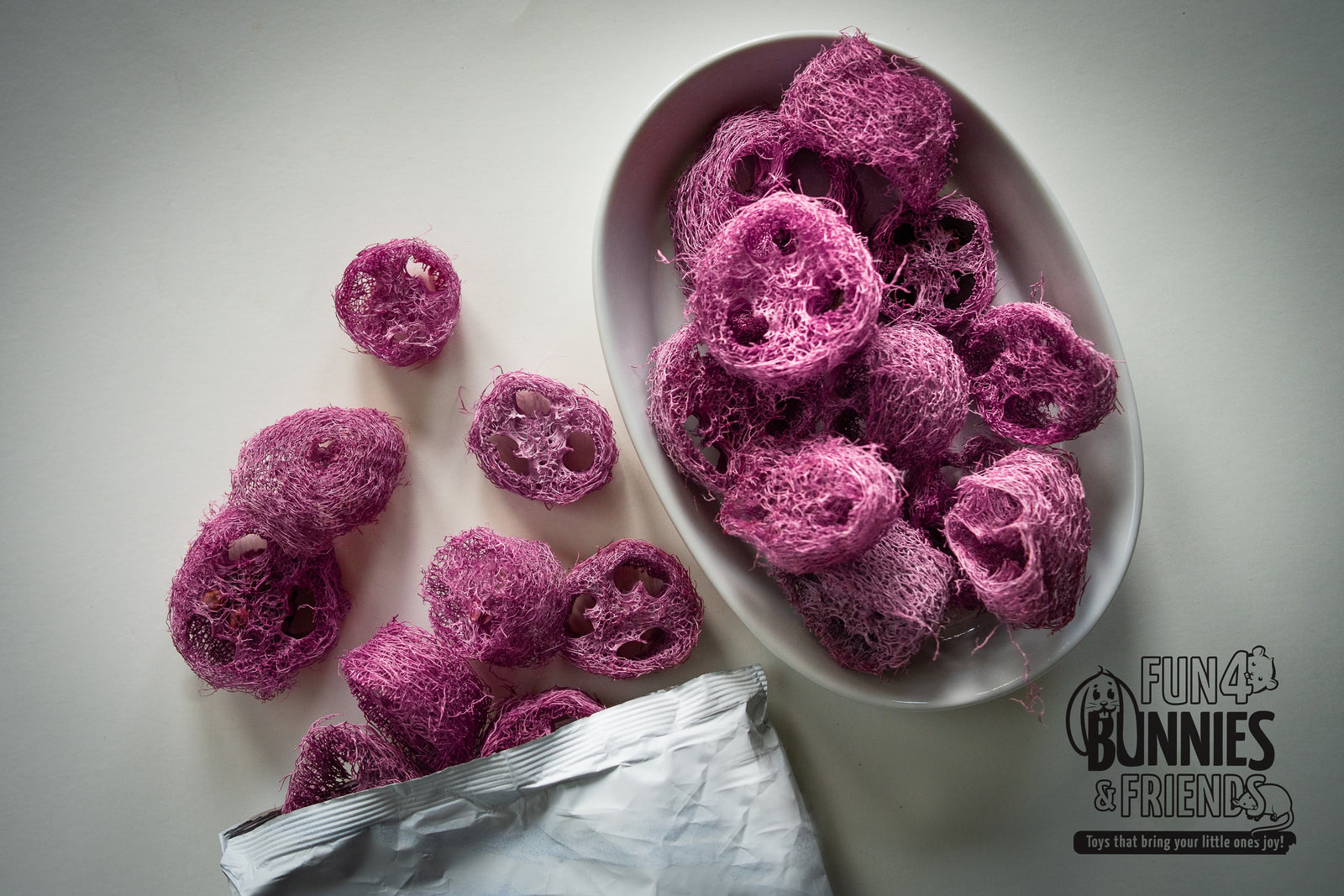 Fruit Flavored Loofah Chips 10 Pack Chew Toys