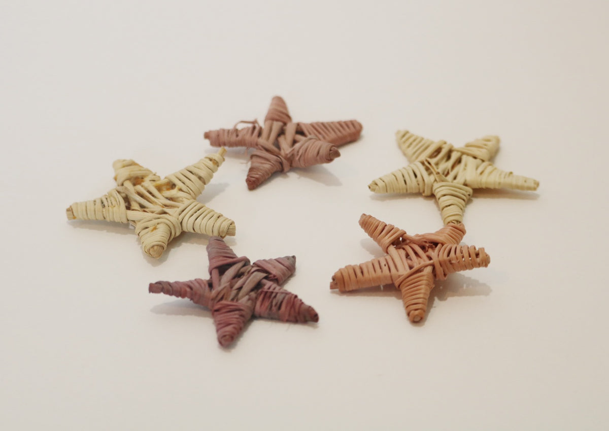 Stargazing Snack (5 Pack Vine Stars)