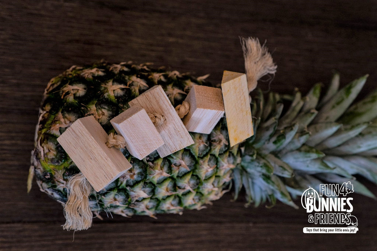 Tropical Fruit Fling Chew Toy